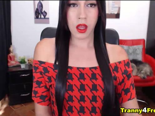 Hot shemale wants a nice dick