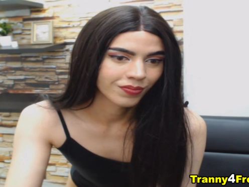 Seductive Brunette Shemale Hard Erect Cock